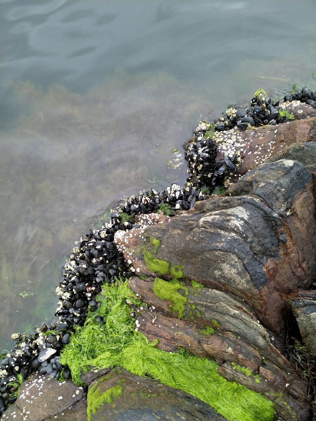 KESTÄVYYS ON MEILLE TÄRKEÄ ARVO – SANOISTA TEKOIHIN SIIS!